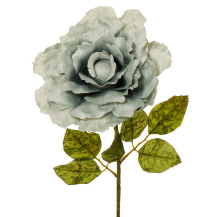 V.ROSA X1 GIGANTE *FUXIA