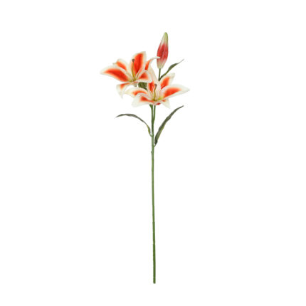 VARA LILIUM MDN