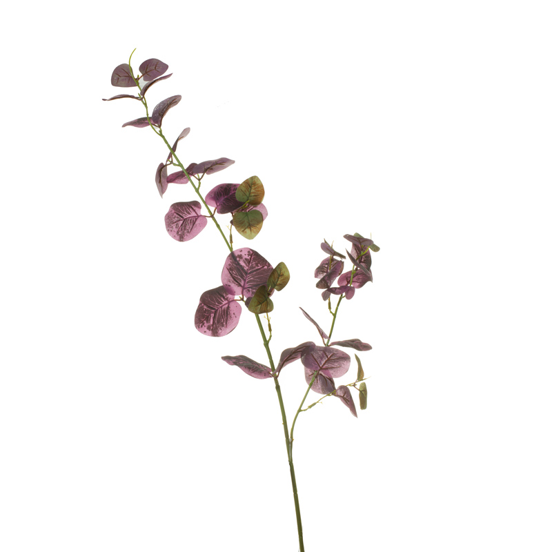 99029010-10.jpg VARA EUCALIPTO