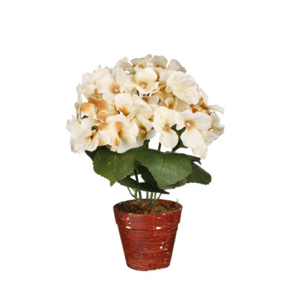 MACETA HORTENSIA