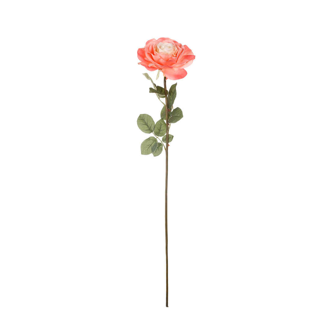 99034371-16.jpg VARA ROSA GRANDE SERI