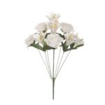 R. ROSA/LILIUM *FUXIA