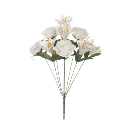 R. ROSA/LILIUM *FUXIA