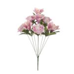 R. ROSA/LILIUM *FUXIA