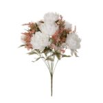 R. PEONIAS SILVESTRE