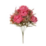 R. PEONIAS SILVESTRE