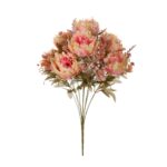 R. PEONIAS SILVESTRE
