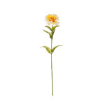 DALIA CON SEMILLA