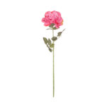 VARA ROSA SEMILLA PLANA