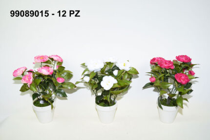 MACETA CAMELIA GRANDE