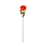 ROSA X1 VUELTA* ROSA