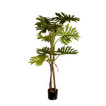 PHILODENDRON 130CM
