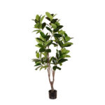 MAGNOLIA 150CM