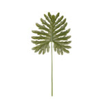 VARA PHILODENDRON 68CM