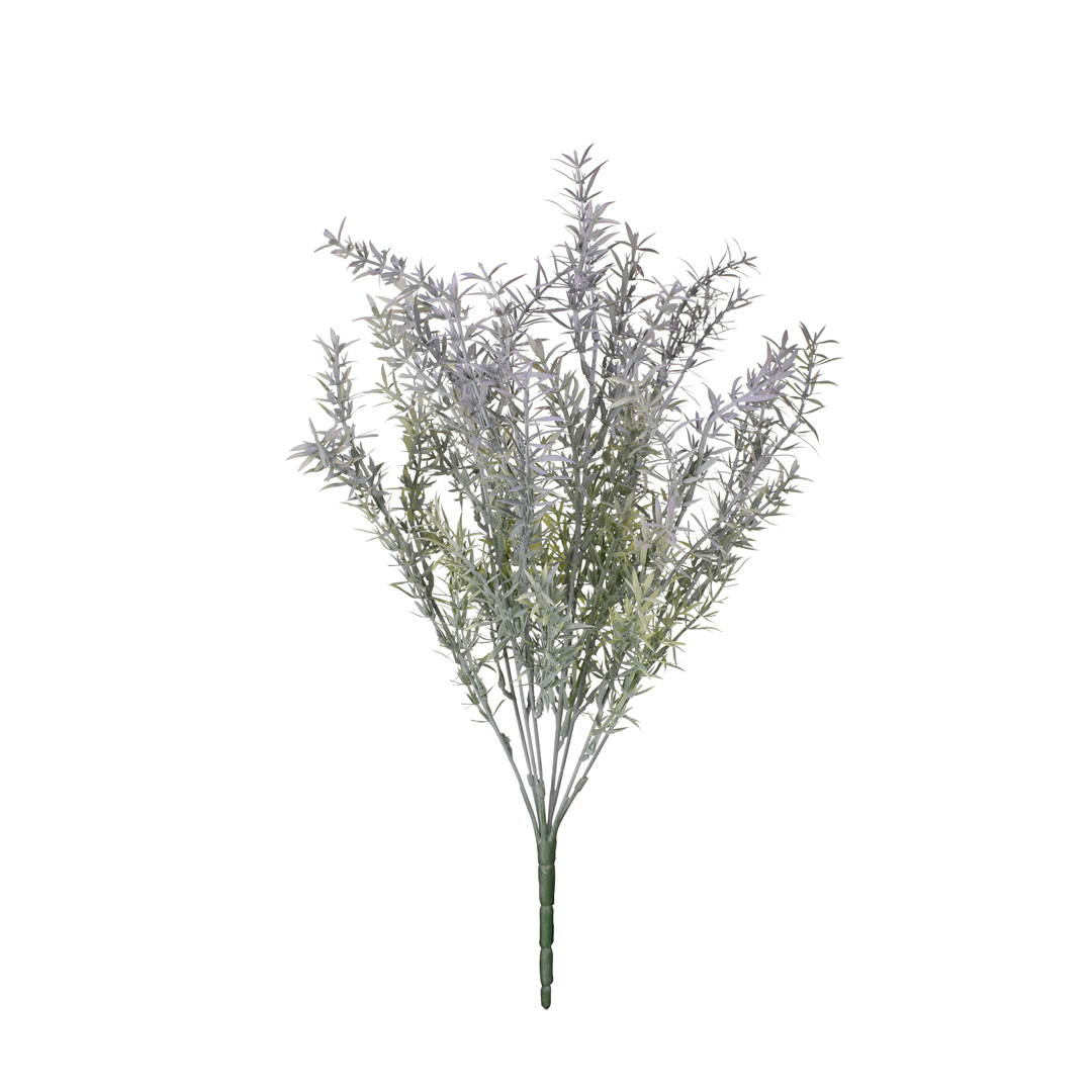 99093044-1.jpg R.OREGANO *FUXIA