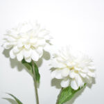 DALIA BOLA X2 *BEIGE