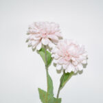 DALIA BOLA X2 *CREMA