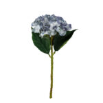 V.HORTENSIA TALLO CORTO *AZUL
