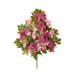 R.ENC.CAPULLO MINI/PRIMULA