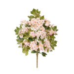 R.ENC.CAPULLO MINI/PRIMULA