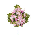 R.ENC.CAPULLO MINI/PRIMULA