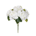 R.HORTENSIAS ANTIQUE