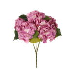 R.HORTENSIAS ANTIQUE