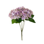 R.HORTENSIAS PRIMAVERAL