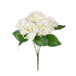 R.HORTENSIAS PRIMAVERAL