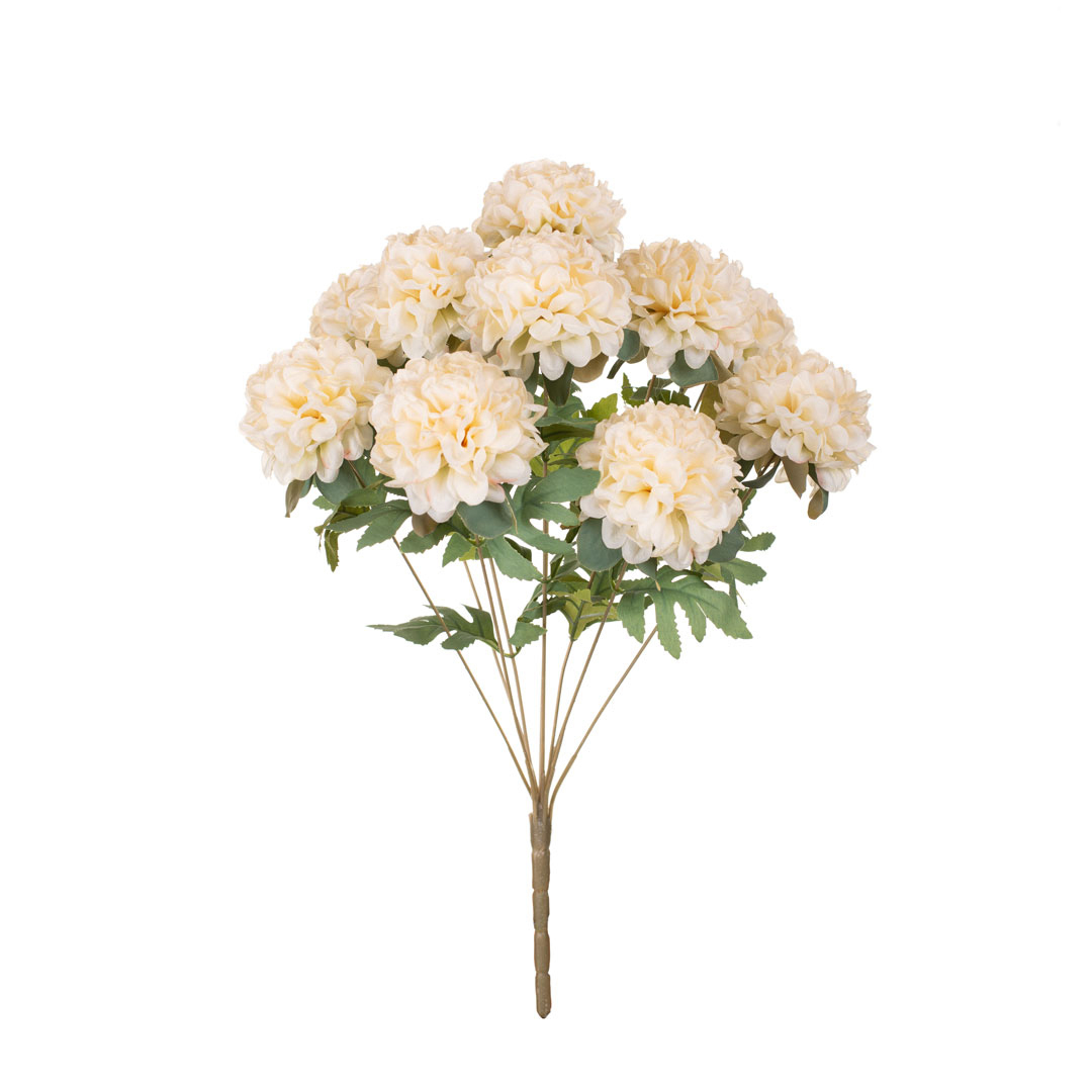 99096085-3.jpg R.CRISANTEMO POMPON