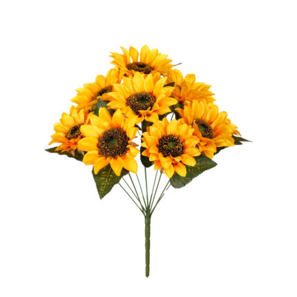 R.GIRASOL