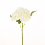 VARA HORTENSIA OTOÑAL