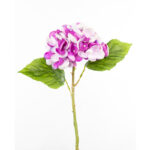 VARA HORTENSIA OTOÑAL