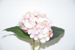 VARA HORTENSIA OTOÑAL *ROSA