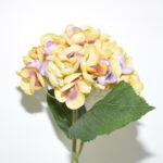 VARA HORTENSIA OTOÑAL *BEIGE