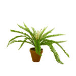 PLANTA HELECHOSA 44CM