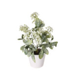 PLANTA CALANCHOE 30CM