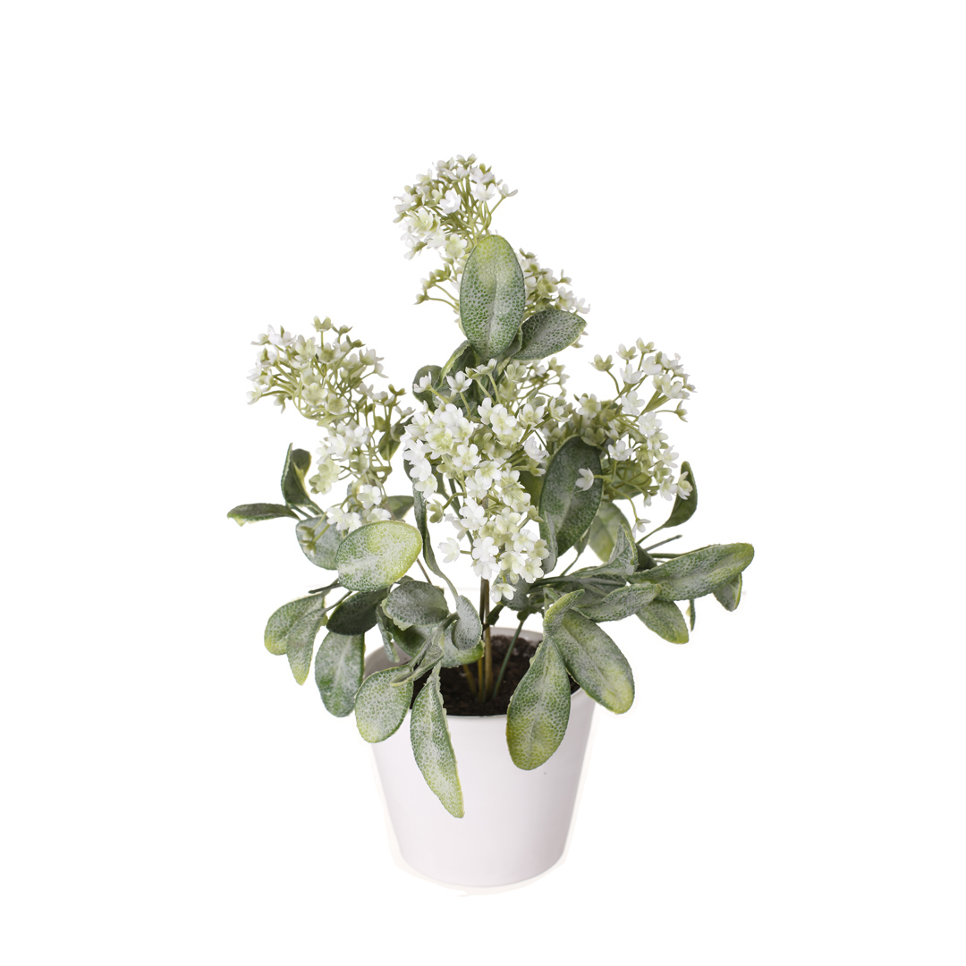 99098718-0.jpg PLANTA CALANCHOE 30CM