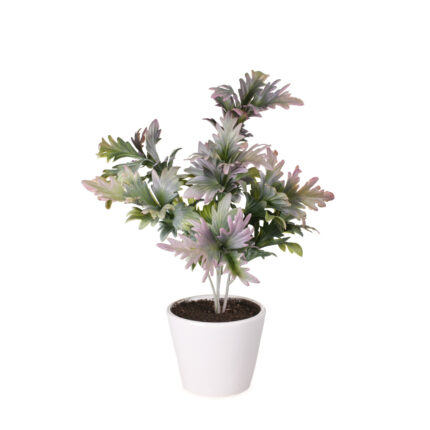 PLANTA QUERCUS 30CM