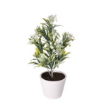 PLANTA ACHILLEA 35CM