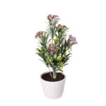 PLANTA ACHILLEA 35CM