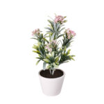 PLANTA ACHILLEA 35CM