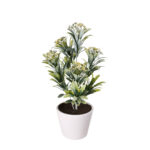 PLANTA ACHILLEA 35CM