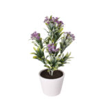 PLANTA ACHILLEA 35CM