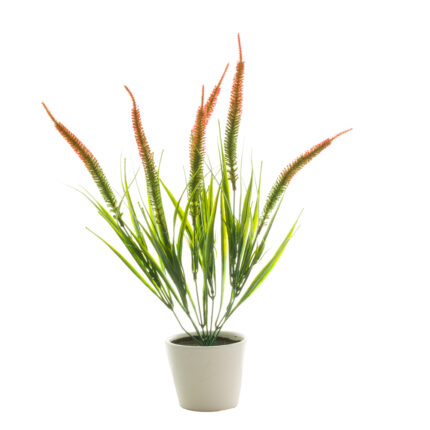 PLANTA RELLENO