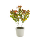 PLANTA HOJA CON BOLAS