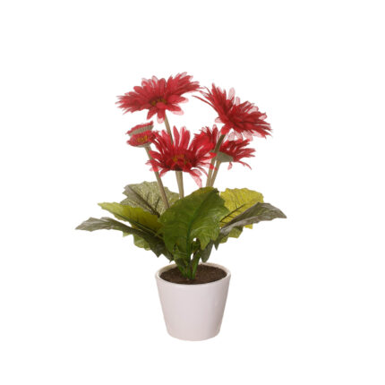 MACETITA GERBERA (99030003) *ROJO