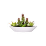 MACETA CACTUS BARCO PQÑ *FUXIA