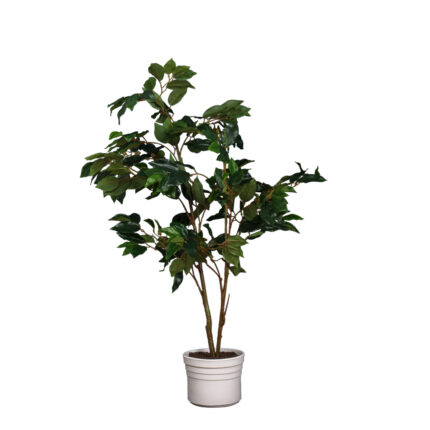 P.ARBOL FICUS 1.10MT