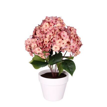 PLANTA HORTENSIA TACTO NAT.